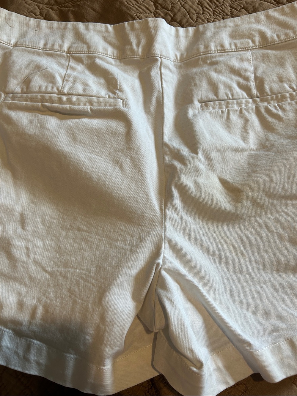 Loft Riviera Shorts - Picture 2 of 7